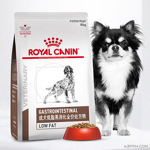 ROYAL CANIN (皇家处方粮)品牌形象展示