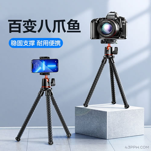 SmartDevil 闪魔品牌形象展示