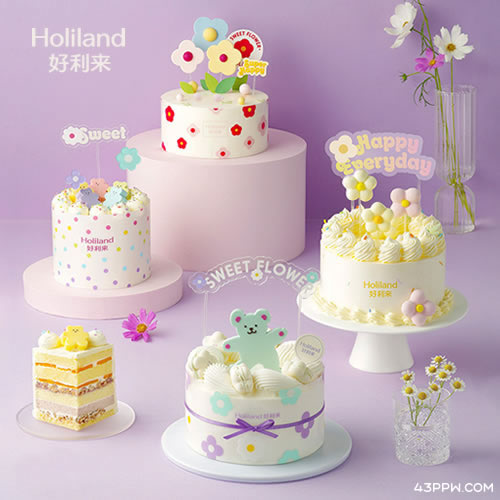 Holiland 好利来蛋糕品牌形象展示