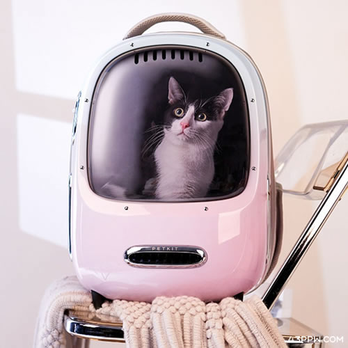 PETKIT 小佩 (宠物用品)品牌形象展示