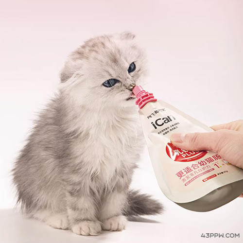 阿飞和巴弟品牌形象展示