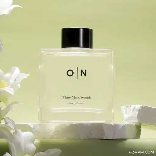 EveryBODY LABO (体研究所)品牌形象展示