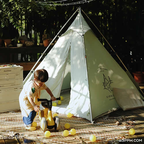 Vidalido 维达利多品牌形象展示