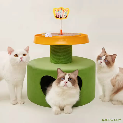 FOFOS 两只福狸品牌形象展示