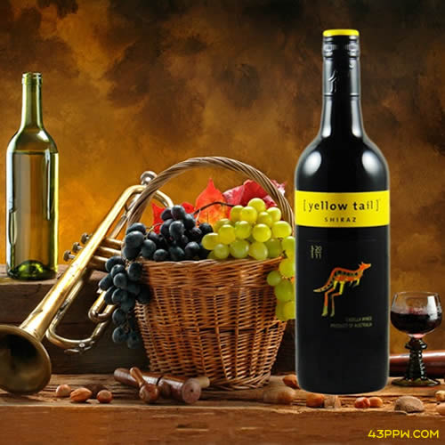 YellowTail 黄尾袋鼠品牌形象展示