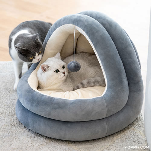 ZEZE (宠物用品)品牌形象展示