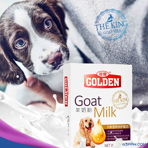 GOLDEN 谷登宠粮品牌形象展示