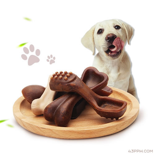 EETOYS 宜特 (宠物用品)品牌形象展示