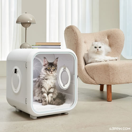 Homerun 霍曼 (宠物用品)品牌形象展示