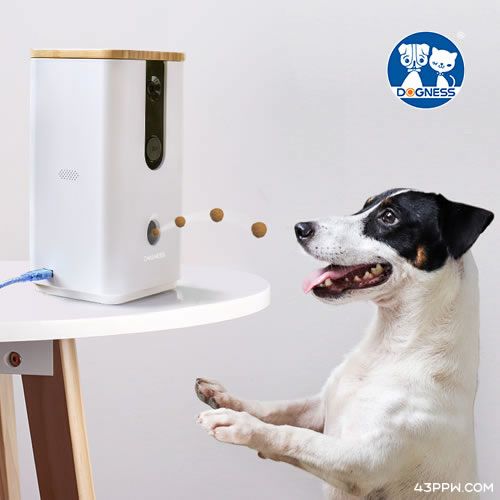 DOGNESS 多尼斯品牌形象展示