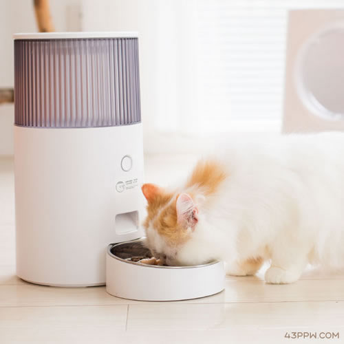 鸟语花香 (宠物用品)品牌形象展示