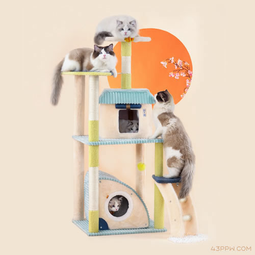 Hoopet (华元宠具)品牌形象展示