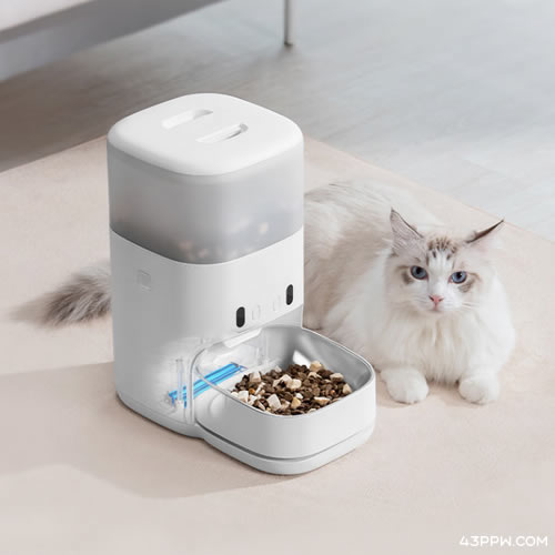 Unipal 有陪品牌形象展示