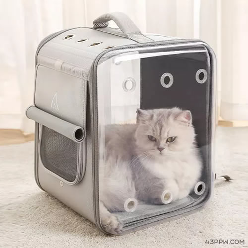 PETSEEK 宠觅品牌形象展示