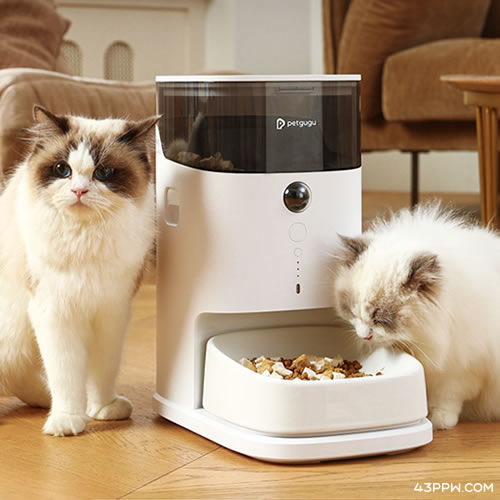 宠咕咕 Petgugu品牌形象展示