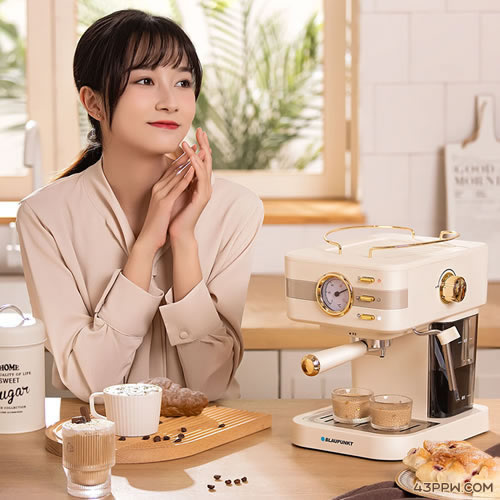 BLAUPUNKT (德国蓝宝)品牌形象展示