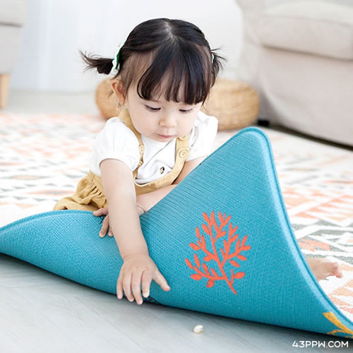 Dwinguler (康乐)品牌形象展示