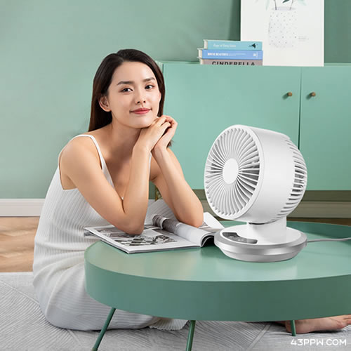 DRHURM 皇家惠人品牌形象展示