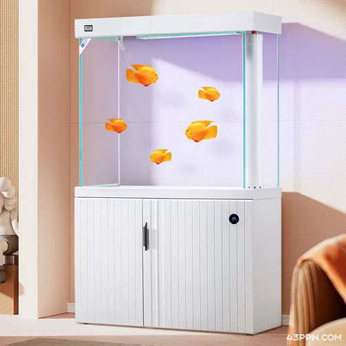 YEE (意牌水族)品牌形象展示