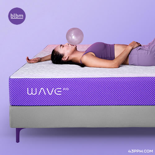 菠萝斑马品牌形象展示