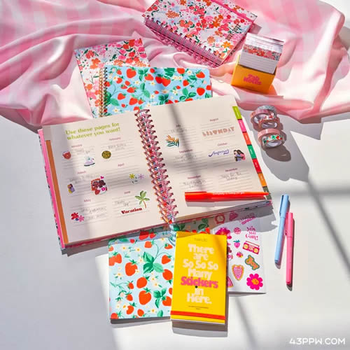 BAN.DO (本都)品牌形象展示