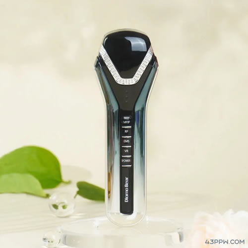 DiomoBear 黛萌熊品牌形象展示