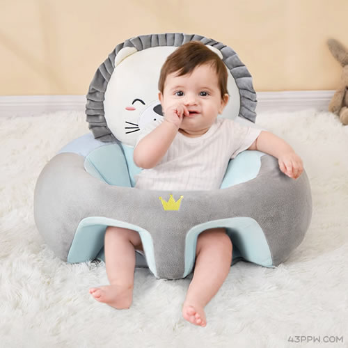 BabyBBZ 棒棒猪品牌形象展示