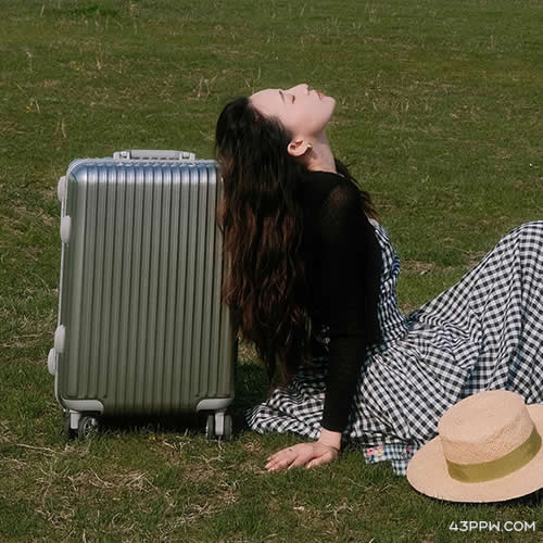 Diplomat 外交官品牌形象展示