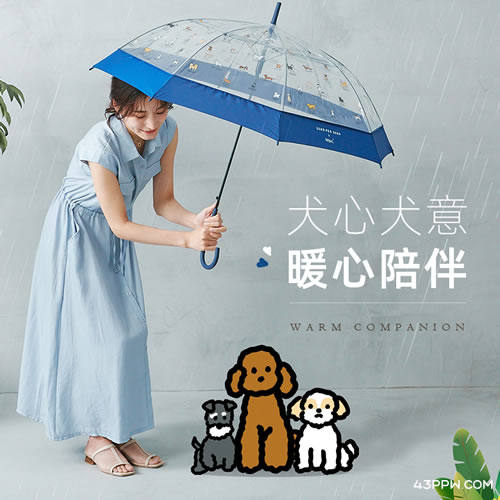 WPC.雨具品牌形象展示