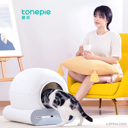 Tonepie 糖派品牌形象展示