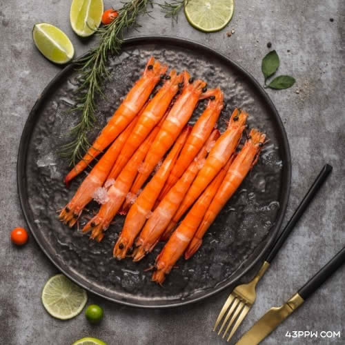 KingOscar 欧斯卡王品牌形象展示