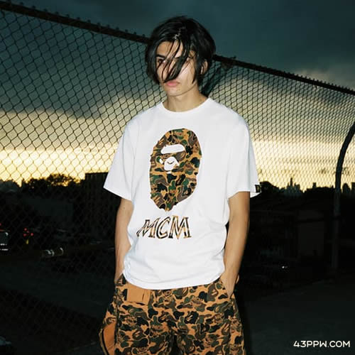 BAPE (安逸猿)品牌形象展示