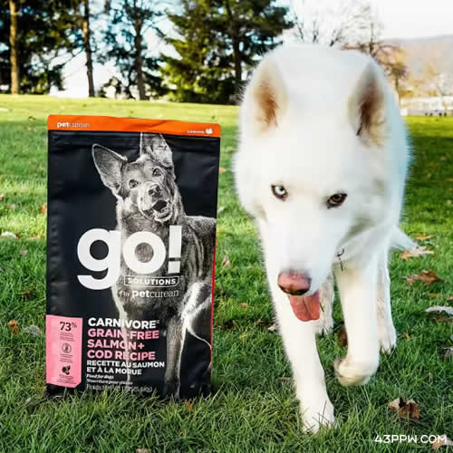 Petcurean (珮立昂)品牌形象展示