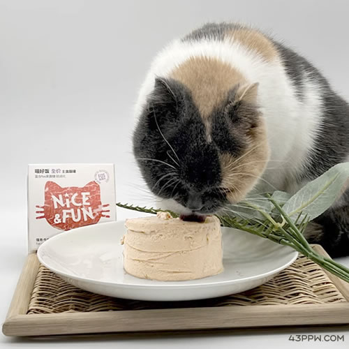 NaTruse 昵趣宠粮品牌形象展示