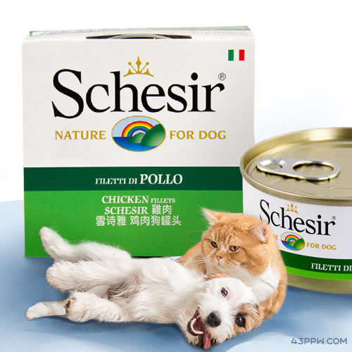 Schesir 雪诗雅品牌形象展示