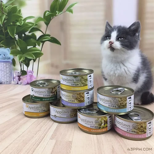 APPLAWS 爱普士品牌形象展示