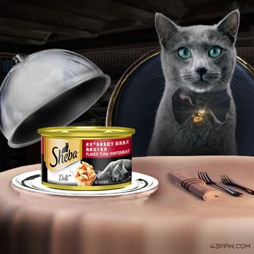 SHEBA 希宝宠粮品牌形象展示