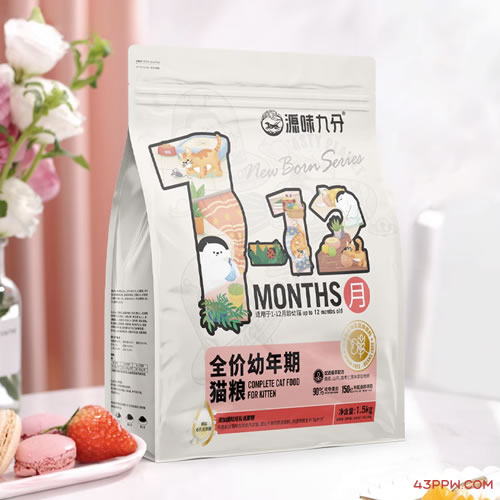 源味九分品牌形象展示