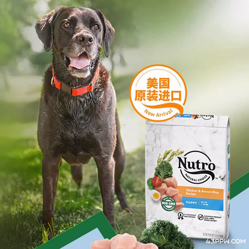 Nutro 美士宠粮品牌形象展示