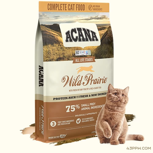 ACANA 爱肯拿品牌形象展示