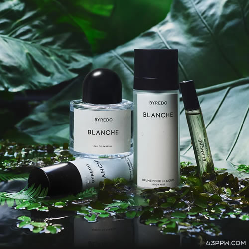 BYREDO (柏芮朵)品牌形象展示