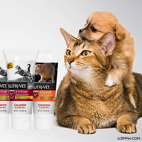 NutriVet 纽益仕品牌形象展示