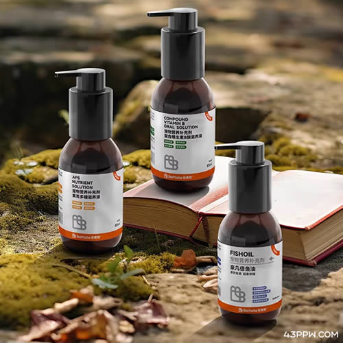 BeMate 倍美特品牌形象展示