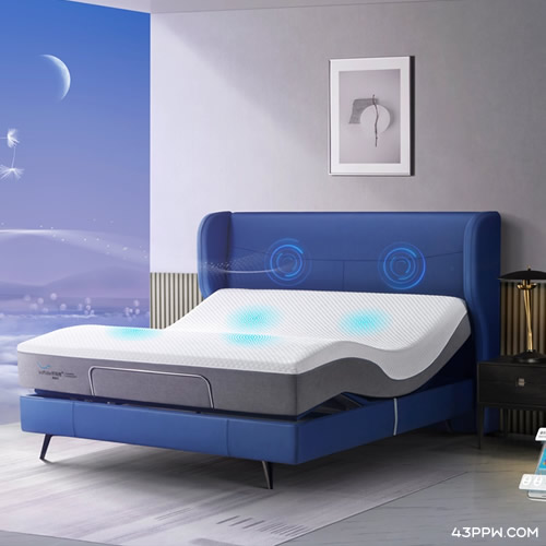 舒福德品牌形象展示