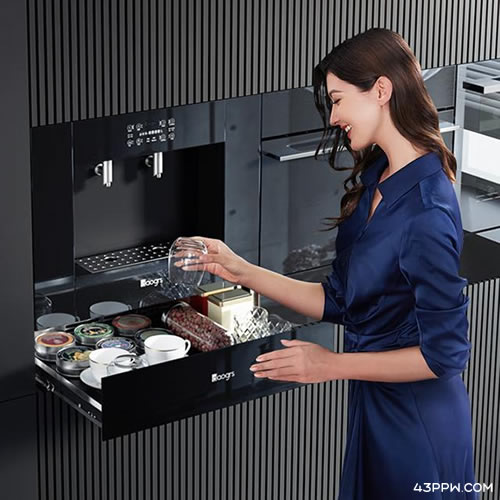 Daogrs品牌形象展示