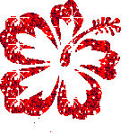 images of elephant poop