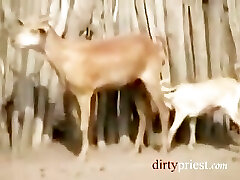 Japanese Reporter Gets Pummeled By African Tribesmen